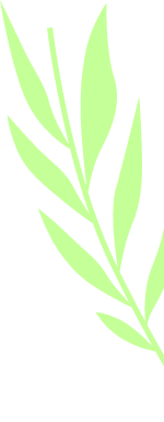 Osmaniye Elysium Baby Spa Masaj Salonu | Bebek ve Bayan Masaj Hizmetleri